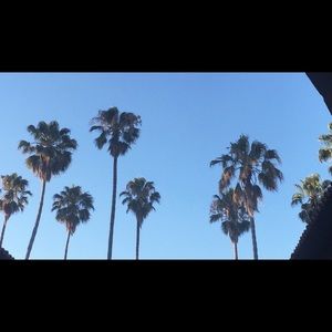 Meet your Posher, Journee